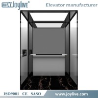 Joylive Building Home Complete Lift with Low Noise