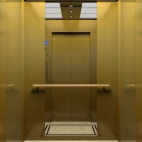 Joylive 1000kg Vvvf Hotel Passenger Elevator Residential Building Elevator