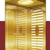 New Products Hairline Elevator Parts Price Panel Lift Elevator Cabin in China