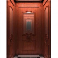 FUJI Home Elevator Lift for Sale (HD-BT07)