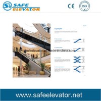 Stable Commercial Vvvf Escalator