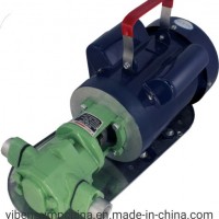 Power Wcb 30 Mini Gear Oil Pump
