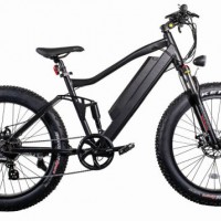 High Speed Electric Mountain Bike with Powerful Motor China Supplier
