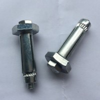 Anchor Bolt for Blind Connection to Structural Steel