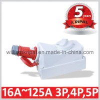 IP44 32A Industrial Plug Socket