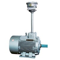 Ybf2 Explosion Proof Motor for Mine Blower