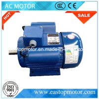 Ce Approved 3 HP Electric Motor with Copper Coils