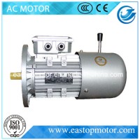 0.18kw-22kw Brake Motor for Pumps with Aluminum and Iron Body