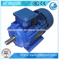Ie4 Series Highest Duty and Saving Electric Magnet Synchronous Motor