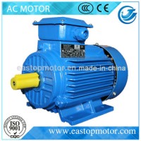 Ie2 Series High Quality IEC Standard Electric Motor 50kw