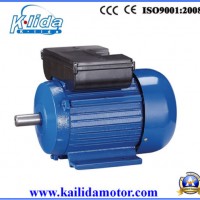 Yl Cast Iron Body Single Phase Two Capacitors AC Motors