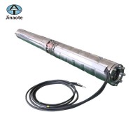 Stainless Steel Salt Water Submersible Pump for Sea Water
