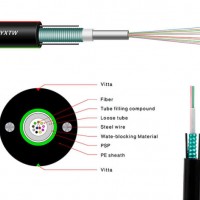 12/24 Core Single/Multi Mode Outdoor Armored/Amoured Aerial Fiber Optic/Optical Communication Cable
