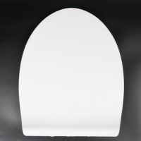 Economic Fashion V Shaped PP Toilet Seat for Bathroom Accessories