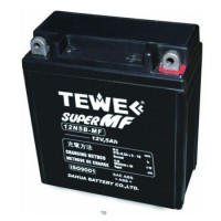 Tewe 12V 5ah Sealed Maintenance Free Motorcycle Battery
