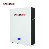 Long Lifespan Lithium Ion Solar Storage Battery 48 V 100 Ah 5kwh LiFePO4 Powerwall for Sale