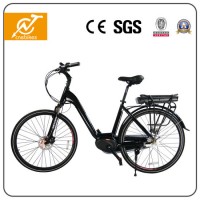 36V 350W Style Electric Bicycle with Rear Rack Lithium Battery
