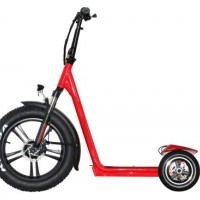 250W Portable Electric Scooter Wholesale
