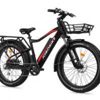 Eelctric Fat E Bike for Sale in Europe