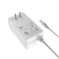 Wall Mounted 48W Power Adapter 12V4a