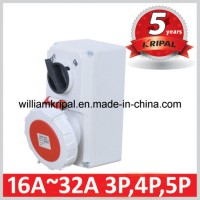 IP67 32A 3p+N+E Wall Mounted Switch Socket