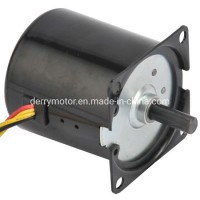 60mm Low Rpm Not Center Shaft Micro AC Synchronous Motor