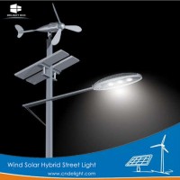 Delight Wind Solar Hybrid COB LED Street Light