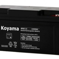 12V 65ah VRLA Battery Sealed Lead Acid Battery UPS Battery Np65-12