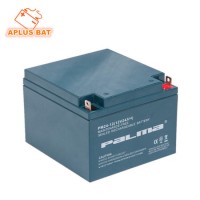 High Export Rate ABS Container Batteries 12V 24ah for UPS
