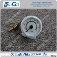 0-4 Bar Mini Air Pressure Gauge with Capillary