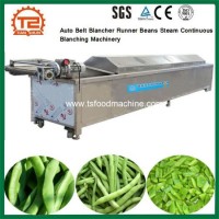 Food Processing Machine Auto Belt Blancher Runner Beans Steam Continuous Blanching Machinery