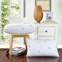 Wholesale Three-Dimensional Homehold Feather Pillow