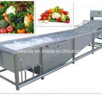 High Efficiency High Quality Stainless Steel Automatic Vegetable Washer Processing and Fruit Washing