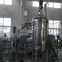 Customized Pilot Scale Mechanical Stirred Stainless Steel Fermentor