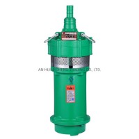 Three Phase 380V 0.75kw Qx Submersible Clean Water Pump