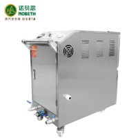 Nobeth 6kw 12kw Dry&Wet Steam Cleaning Interior and Exterior Mini Portable Electric Automatic Steam