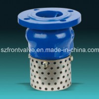 Cast Iron/Ductile Iron Flanged Foot Valves