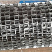 Flat Wire Belt for Packing  Battery Boating Lake Conveyor Equipment