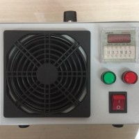 220V Portable 20g/H Ozone Generator Used for Air Purification