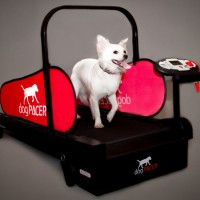 Multifunctional Folded Dog Training Equipment Electric Motorised Dog Treadmill Walking Machine  Dog