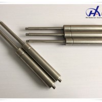 Professional Made Ss 316 Stainless Steel Gas Spring for Boat