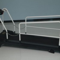 Factory Direct Weight Loss Sports Dog Treadmill