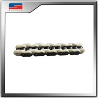 81X Pl Industrial Plastic Scraper Conveyor Chain