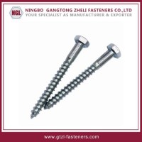 DIN571 Hex Head Lag Screw with Zinc Plated  A2/A4 Ss