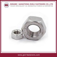 DIN934/SAE/A194 8  8m Stainless Steel Hex Nuts for Industry