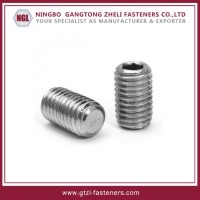 DIN916 Hexagon Socket Set Screws with Cup Point