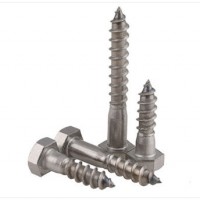 Stainless Steel Self Tapping Screws Building Fasteners