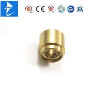 China Manufacturer Custom Brass Tubular Threaded Nut Rivet