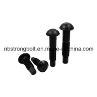 Twist off Type Tension Control Structual Bolt Screw with Heavy Hex Head and Round Head Configuration