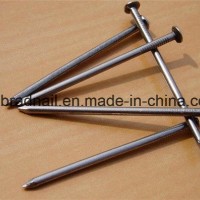 Common Round Wire Nails (factory/supplier)